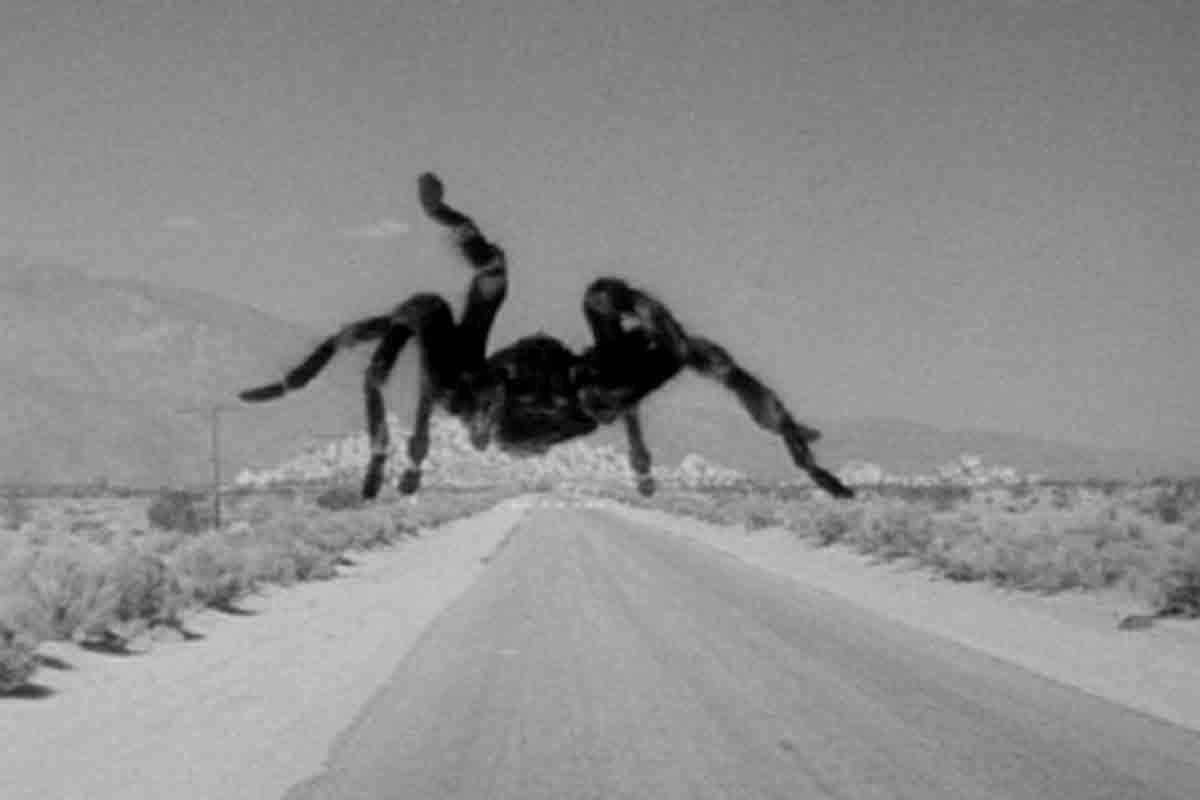 Scene from Tarantula 1955